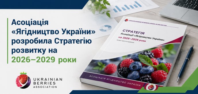 Асоціація «Ягідництво України» розробила Стратегію розвитку на 2026–2029 роки